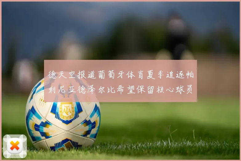 德天空报道葡萄牙体育夏季追逐帕利尼亚德泽尔比希望保留核心球员