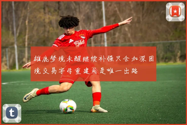雄鹿梦境未醒继续补强只会加深困境交易字母重建或是唯一出路