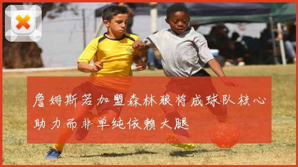 詹姆斯若加盟森林狼将成球队核心助力而非单纯依赖大腿